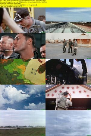 100 Missions Surviving Vietnam 2020 WEBRip x264-ION10