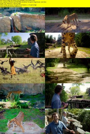 Big Cat Games 2015 WEBRip x264-ION10