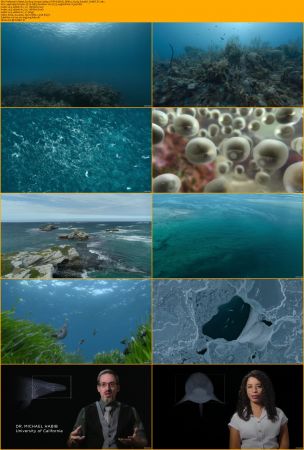 Prehistoric Planet S02 1080p ATVP WEB-DL DDP5.1 H264-EniaHD