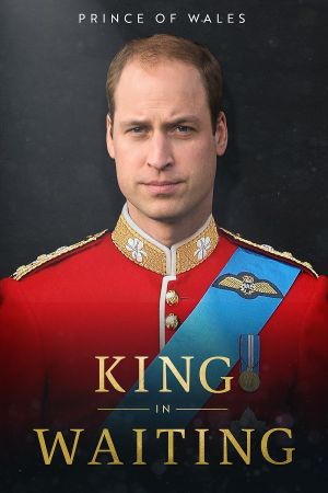 Prince of Wales King in Waiting 2022 1080p WEBRip x264-RARBG