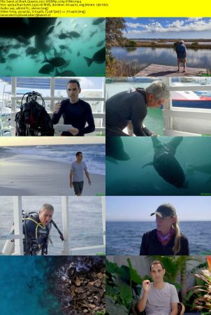Shark Queens 2022 WEBRip x264-ION10