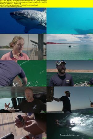 Sharks vs Dolphins Blood Battle 2020 WEBRip x264-ION10