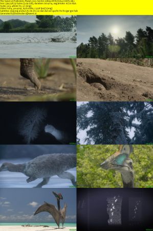 Prehistoric Planet 2022 S02E01 1080p WEB H264-CAKES