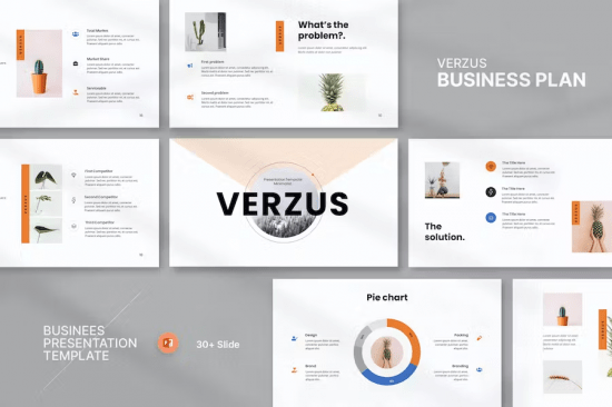 Verzus - Minimal Business Plan Presentation