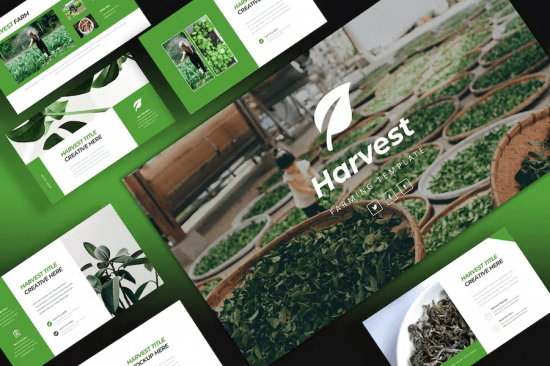 Harvest Powerpoint Template