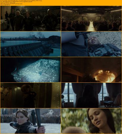 The Hunger Games Collection 1080p BluRay H264 AC3-Will1869