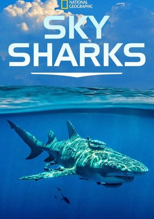 Sky Sharks 2022 WEBRip x264-ION10