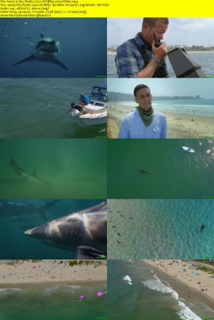 Sky Sharks 2022 WEBRip x264-ION10