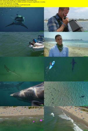 Sky Sharks 2022 1080p WEBRip x264-RARBG