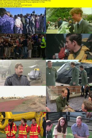 Prince of Wales King in Waiting 2022 1080p WEBRip x264-RARBG