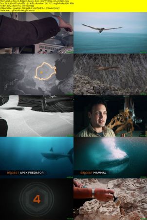 Top 10 Biggest Beasts Ever 2015 WEBRip x264-ION10