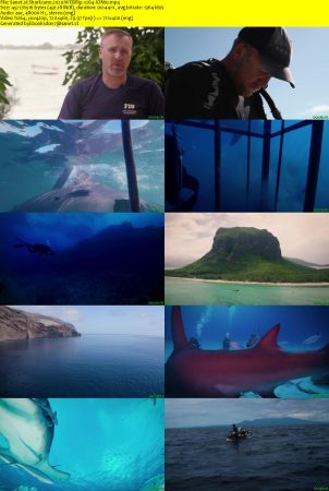 Sharkcano 2020 WEBRip x264-ION10