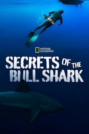 Secrets of The Bullshark 2020 WEBRip x264-ION10