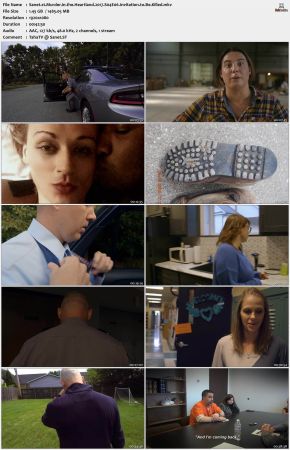 Murder in the Heartland S04 1080p WEBRip H264-NOGRP
