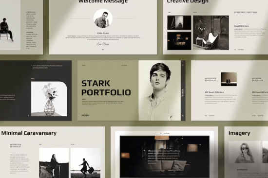 Stark Portfolio Presentation