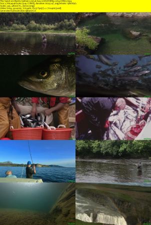 Atlantic Salmon Lost at Sea 2018 WEBRip x264-ION10