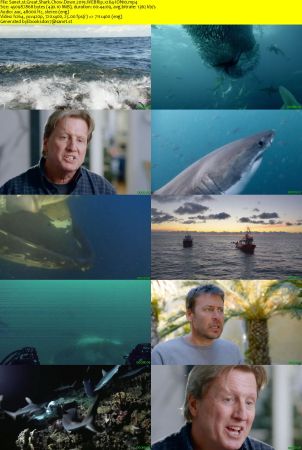 Great Shark Chow Down 2019 WEBRip x264-ION10