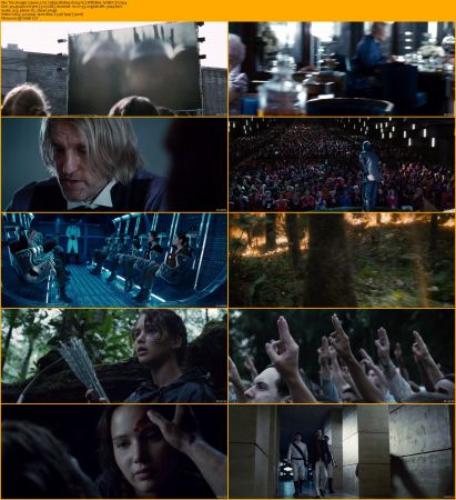 The Hunger Games Collection 1080p BluRay H264 AC3-Will1869