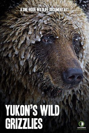 Yukons Wild Grizzlies 2021 WEBRip x264-ION10