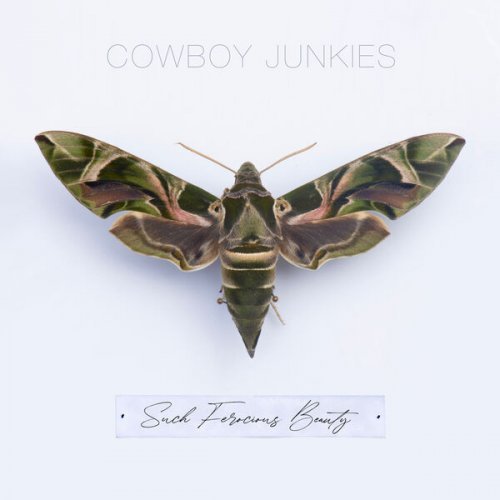 Cowboy Junkies - Such Ferocious Beauty (2023)Hi-Res