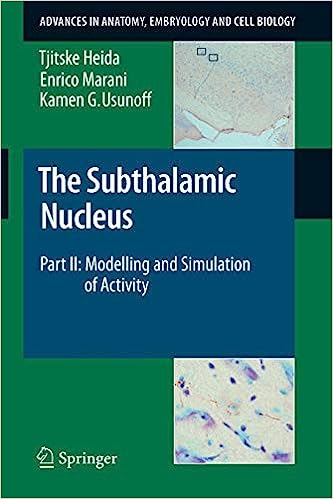 The Subthalamic Nucleus : Part II: Modelling and Simulation of Activity