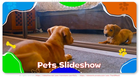 Videohive - Welcome Pets World - 46298871