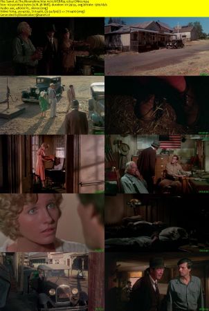 The Moonshine War 1970 WEBRip x264-ION10