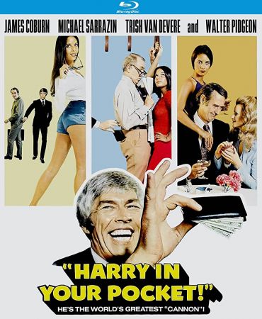 Harry In Your Pocket 1973 1080p BluRay x264 AAC-LAMA