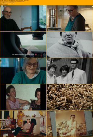 Nelly &amp; Nadine 2022 1080p AMZN WEB-DL DDP2.0 H264-PTerWEB