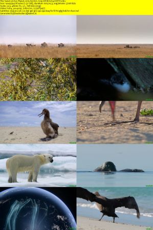 Our Planet 2019 S02 720p WEB H264-EDITH