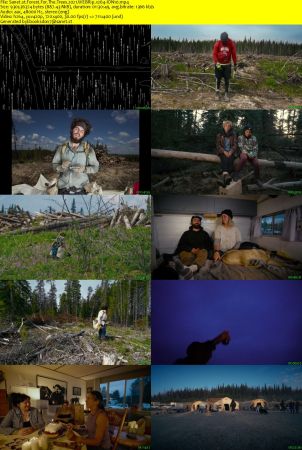 Forest For The Trees 2021 WEBRip x264-ION10