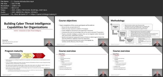Building Cyber Threat Intelligence Capabilities