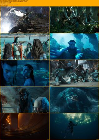 Avatar The Way of Water 2022 1080p BluRay x264 DTS-WiKi
