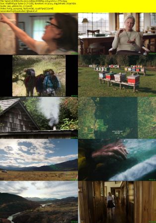 Wild Life 2023 1080p WEBRip x264 AAC 5.1-YTS