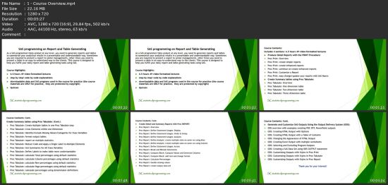 Sas Programing On Reports And Tables Generating