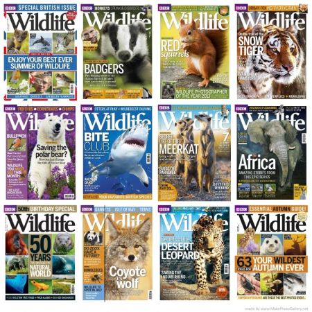 BBC Wildlife Magazine - 2013 Full Year Issues Collection