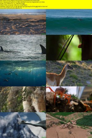Our Planet 2019 S02 720p WEB H264-EDITH
