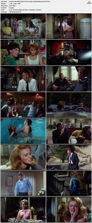 Bus Rileys Back in Town 1965 1080p BluRay x264-OFT