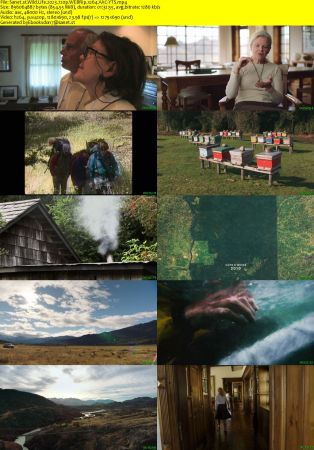 Wild Life 2023 720p WEBRip x264 AAC-YTS