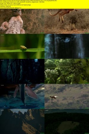 Life in the Air S01 1080p iP WEB-DL AAC2.0 H264-playWEB