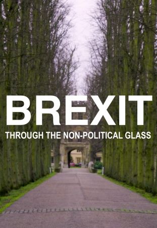 Brexit Through the Non-Political Glass 2021 WEBRip x264-ION10