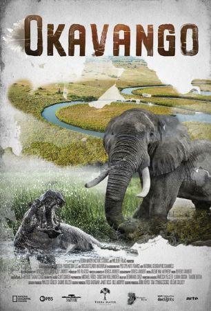 Okavango River Of Dreams 2020 WEBRip x264-ION10
