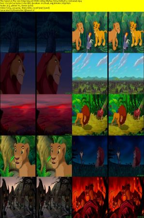 The Lion King 1994 3D HSBS 1080p BluRay H264 DolbyD 5.1 nickarad