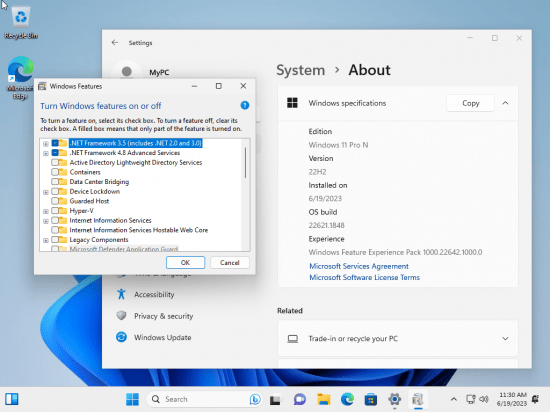 Windows 11 AIO 16in1 22H2 Build 22621.1848 (No TPM Required) Preactivated Multilingual