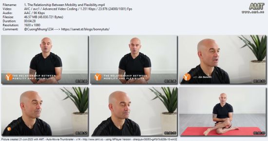 Yoga International - A Functional Mobility Workshop