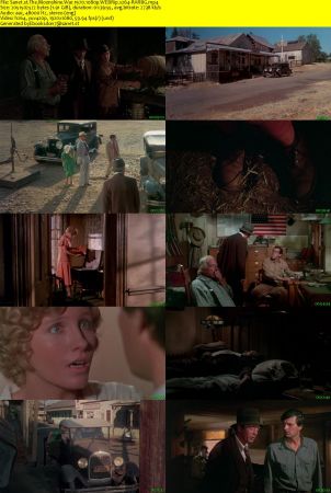 The Moonshine War 1970 1080p WEBRip x264-RARBG