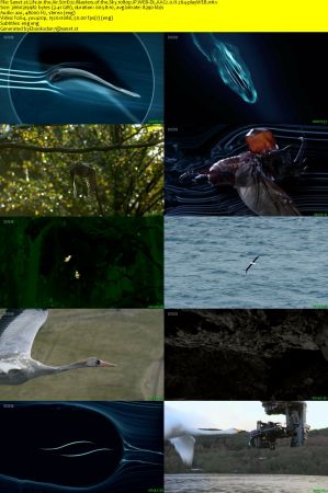 Life in the Air S01 1080p iP WEB-DL AAC2.0 H264-playWEB