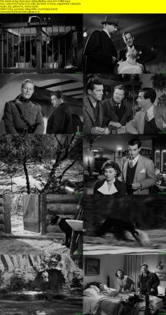 Spy Hunt 1950 1080p BluRay x264 AAC-LAMA