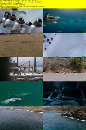Our Planet 2019 S02 720p WEB H264-EDITH