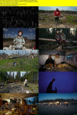 Forest For The Trees 2021 1080p WEBRip x264-RARBG